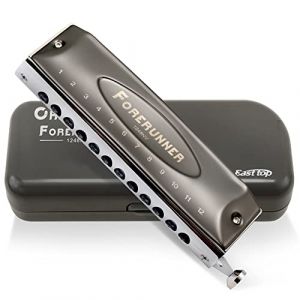 East top Harmonica adulte chromatique professionnel 12 trous 48 tons en Do, harmonica chromatique 12 trous avec étui gris Top Grade pour adults, joueur professionnel et étudiants, comme cadeau