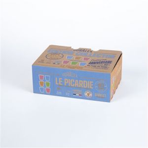 Duralex Picardie Multi-Teinte Gobelet 25 cl*6 80 ans - Picardie Multicolor Tumbler 25CL (2xrose, 2xmarine, 1 vermeil, 1 vert)