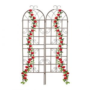 Relaxdays Tuteur &agrave; tomates, en Lot de 2, pour Plantes grimpantes, en m&eacute;tal, &agrave; Planter, H x L : env. 179 x 52 cm, marrron