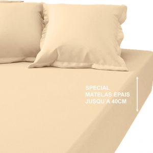 Drap-housse grand bonnet XL Coton Tertio - &Eacute;cru