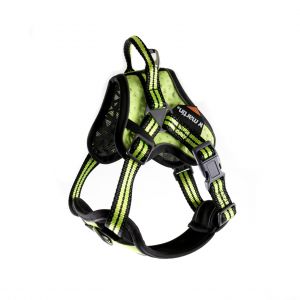 Martin Sellier Harnais pour chien