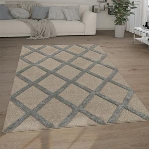 Image de Paco Home - Tapis Poils Longs Tapis Salon Shaggy Aspect 3D Ethnique Boho Look Vintage Doux Gris 2, 230x330 cm (de)