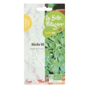 Graines &agrave; semer M&acirc;c Vit 1 g