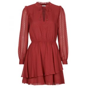 Pepe Jeans Robe courte OTTO Bordeaux - Taille EU S,EU M,EU L,EU XL