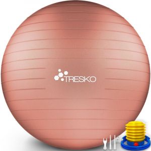 TRESKO Ballon Fitness Yoga Balle d’Exercice Antidérapant Balle Gymnastique avec Pompe 300 kg avec pompe à air Noir 55cm