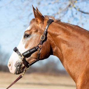 Montant de filet ThinLine Halster