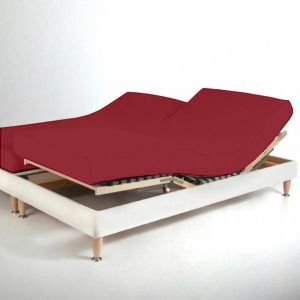 Drap-housse sommier articulé Percale De Coton TERTIO - Bordeaux Rouge Vin