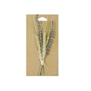 COMPOSITION BLÉ LAVANDE SÉC S 18CM NATURE Beige, Ivoire, Crème, Écru, Naturel, Taupe