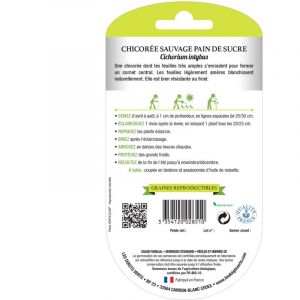 Les doigts verts Chicorée Sauvage Pain de Sucre Bio