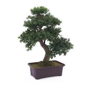 EUROPALMS Bonsaï, plante artificielle, 61 cm