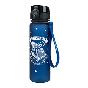 La Gourde en Tritan avec Paille et Passoire pour Enfant 500 ml, Sans PVC et BPA, Anti-Fuite (Harry Potter Hogwarts)