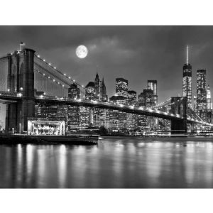 Runa art Tapisserie Papier Peint intissé New York City 352 x 250 CM 8,8 M2 8 bandes à couper selon besoin 9101011b