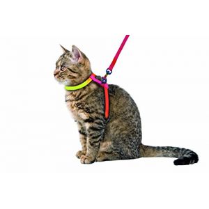 Kerbl Harnais pour chat avec laisse Rainbow (x1)