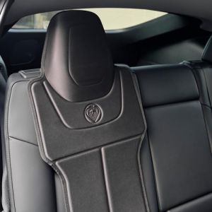 Prince Lionheart Protecteur de si&egrave;ge Auto Tesla | 2-Stage Seatsaver Designed for Tesla Models S, 3, X & Y by Imperm&eacute;able &agrave; l'eau pour si&egrave;ge Auto Enfant | Noir