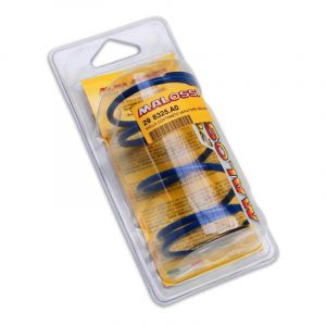 Malossi Ressort variateur scooter Piaggio 50 Zip 2T 2000