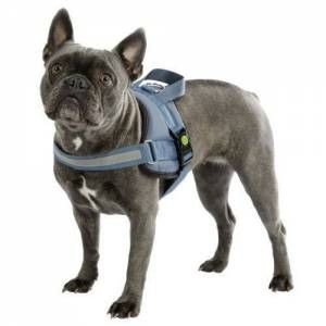 Image de Kerbl Harnais pour chien Maestro 2.0 - Taille: Tour de poitrine: 64 - 90 cm