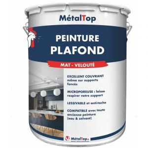Peinture Plafond - - Pot 1L