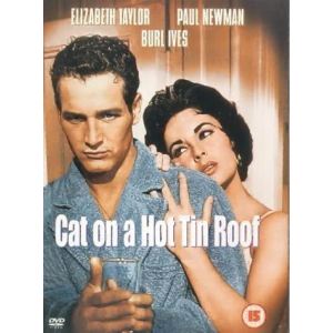 Cat On A Hot Tin Roof