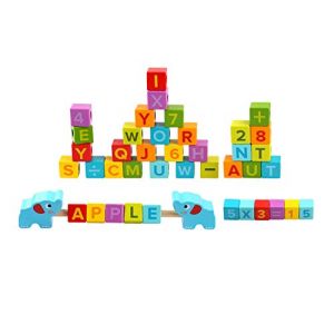 Tooky Toy- Buchstaben Malette de Jeu Apprentissage Mots, TY597, Multicolore