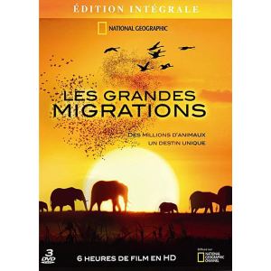 National Geographic : Les grandes migrations