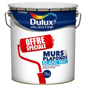 Dulux Valentine Peinture murs et plafonds série spéciale - Blanc - Mat - 15L