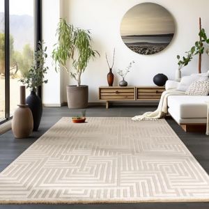 Homebyhome Tapis de salon 160x230 cm Beige uni tapis poil ras moderne et doux tapis décoratif pour chambre et salle à manger