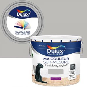 Dulux Valentine Ma Couleur Sur-mesure par – Peinture Intérieure Murs, Plafonds, Boiseries - Finition Parfaite - 98% d'opacité - Velours Béton Gris 10 L - Palette Authentique