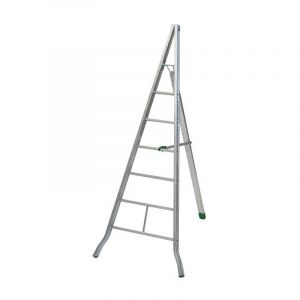 Echelle fruitière AG250