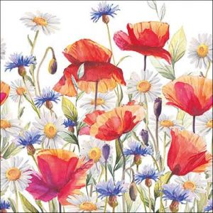 Ambiente 20 SERVIETTES DE TABLE JETABLE PAPIER COQUELICOTS BLEUETS 33CM