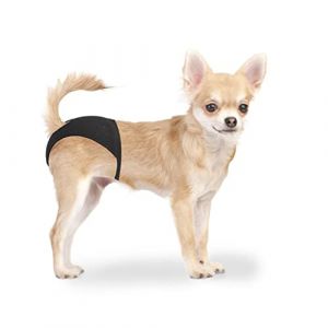 Duvo Culotte pour chien plus