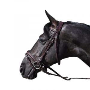 Lexington Bridons équitation denver combiné