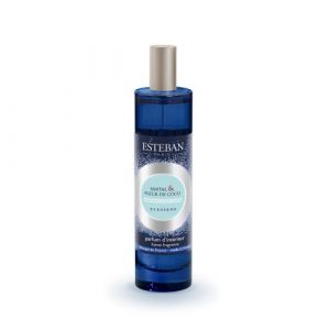 Vaporisateur Elessens 100ml