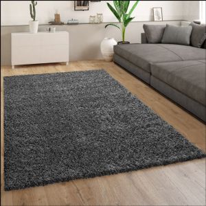 Tapis Poils Longs Gris Anthracite Salon Shaggy Résistant Doux Robuste 160x220 cm - Paco Home