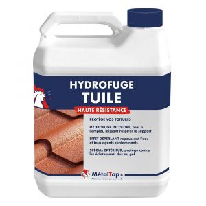Hydrofuge Tuile - Incolore - RAL Incolore - Pot 1L