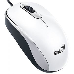 Genius DX-110 - Souris optique 3 boutons filaire USB