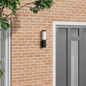 VidaXL Lampe Murale D'extérieur Noir Acier Inoxydable Ip44