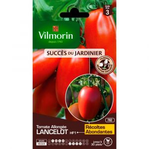 Vilmorin Tomate lancelot HF1