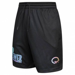 Reebok X RBK PANINI Allen Iverson Hommes Court HS1275