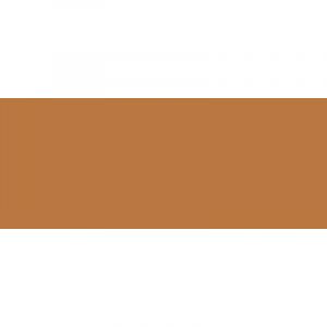 Caran d'Ache Craie aquarellable &agrave; la cire N&eacute;ocolor II, Couleurs classiques, Terre de Sienne