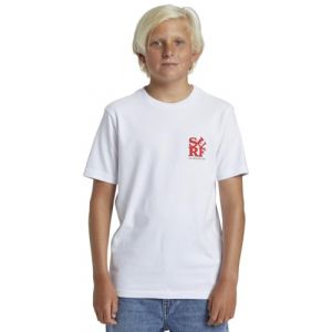 Image de Quiksilver Gar&ccedil;on Surf Boe T-Shirt, Blanc, 14 Ans EU