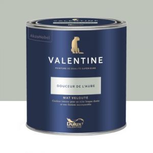 Dulux Valentine Peinture intérieure de haute qualité - Valentine - Couleur intense & pouvoir couvrant élevé - Mat Velouté Douceur de l'Aube 0,5 l - Douceur de l'Aube