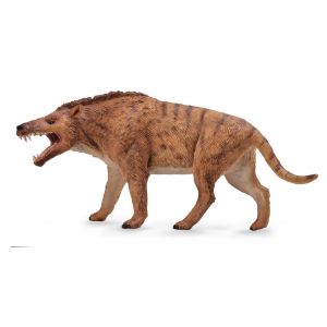 Collecta dinosaure prehistorie Andrewsarchus 19,5 x 9,3 cm