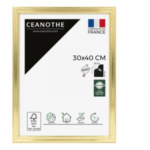 Ceanothe Cadre Photo Doré 30x40 cm et 40x30 cm – Cadre pour Photo 30x40 cm - Convient au A4 – Fabriqué en France – Cadre Photo Julia Doré 30x40 cm en résine