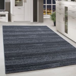 Homebyhome Tapis de Salon Moderne 200x290 cm - Gris Uni, Poil Court et Moelleux, Couleurs Tendance