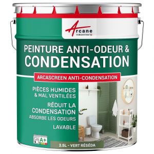 Arcane industries Peinture anti-condensation, anti odeur pour pièces humides : ARCASCREEN ANTI CONDENSATION - Vert Réséda - RAL 6011 - 2.5 L