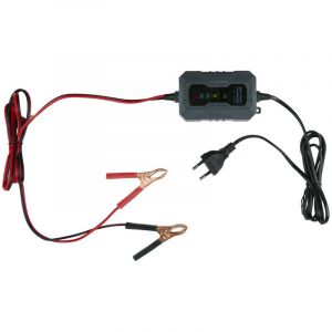 Dunlop Chargeur d'Entretien 6/12V 230V - Maintien Batterie Véhicule, Détection Automatique, Facile & Sécurisée