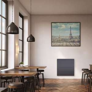 Airelec Adeos Smart EcoControl 750 Watts - Radiateur fonte connecté horizontal