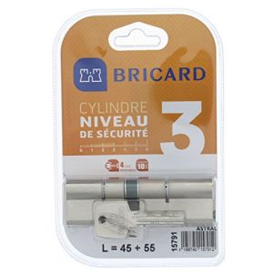 BRICARD ASTRAL 15791 Cylindre 45+55 double entrée laiton nickelé niveau de sécurité 3