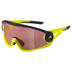 Alpina 5W1NG Q+CM Glasses, jaune/Or Lunettes de soleil