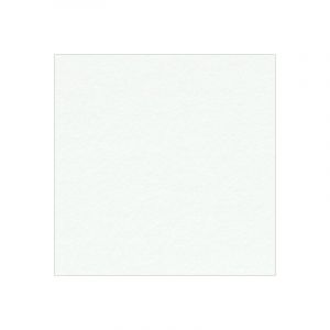 Décoweb Moquette Stand Expo - Blanc - Échantillon 7x10 cm